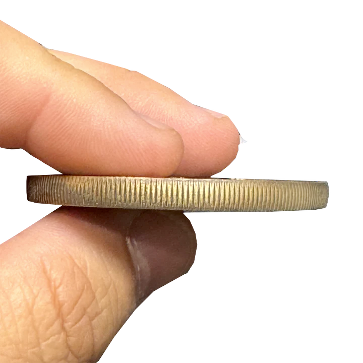 BL13-017 Border Patrol Agent Honor First Challenge Coin Veni Vidi Vici