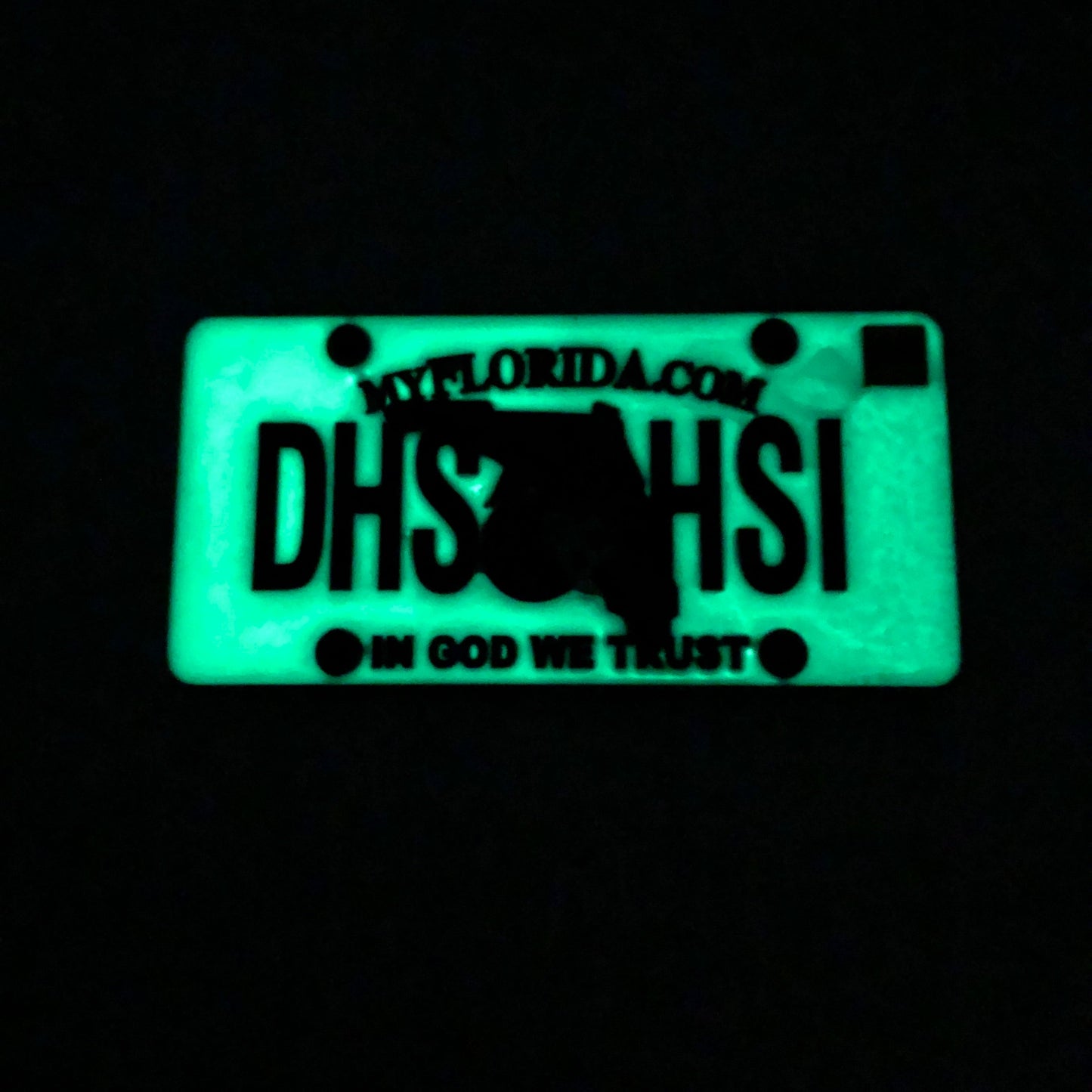 H-001 HSI Florida License Plate Challenge Coin Special Agent