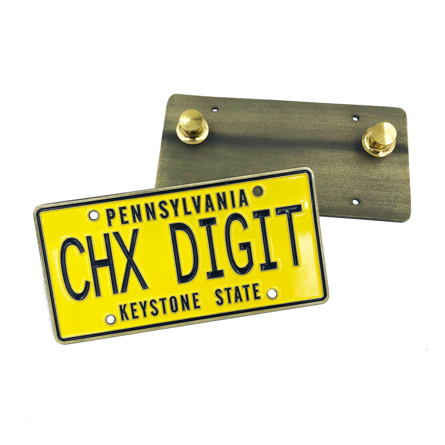 GG-019 Chicks Dig it CHX DIGIT License Plate dual pin backs The Goldbergs Uncle Marvin Back to the Future