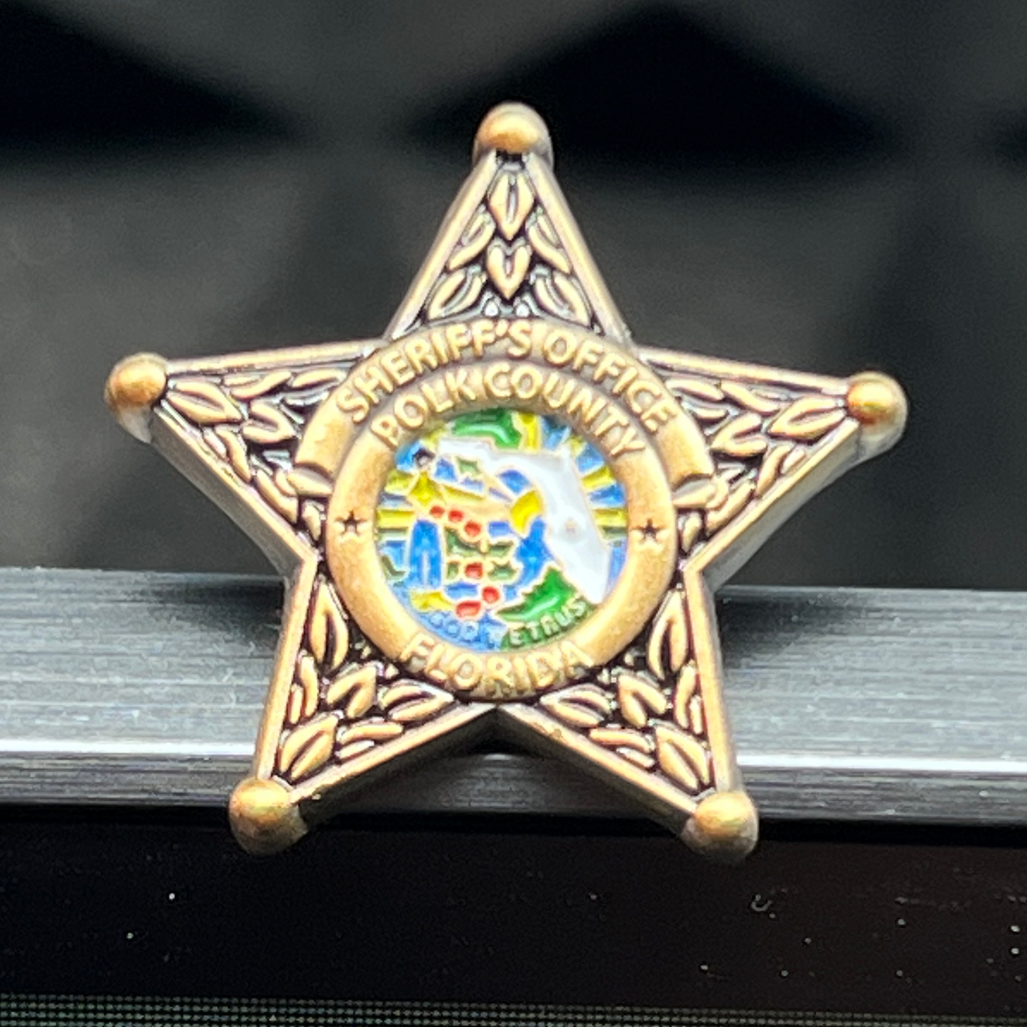 BFP-013 Polk County Florida Deputy Sheriff Lapel Pin Grady Judd