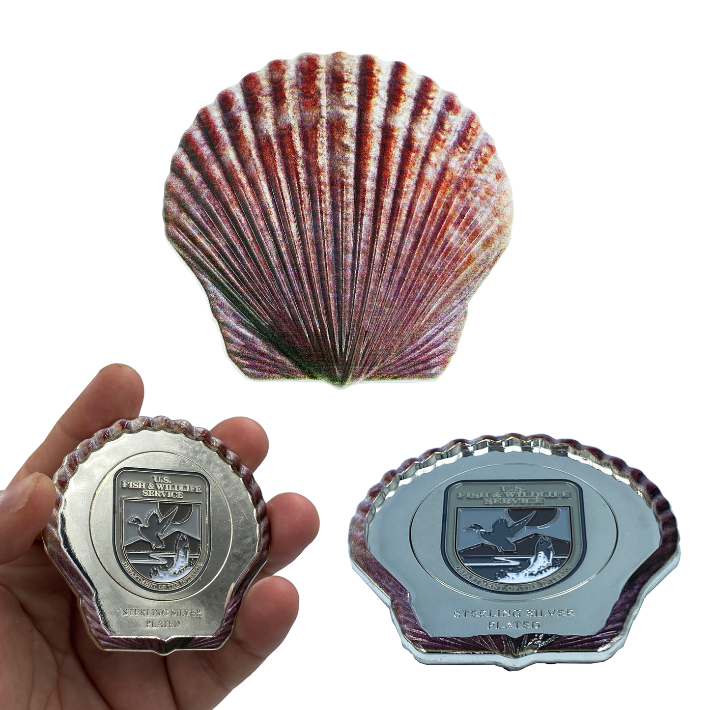 EL4-017 FWL U.S. FISH AND WILDLIFE SERVICE Sterling Silver Plated Seashell Challenge Coin Shell Federal FWS